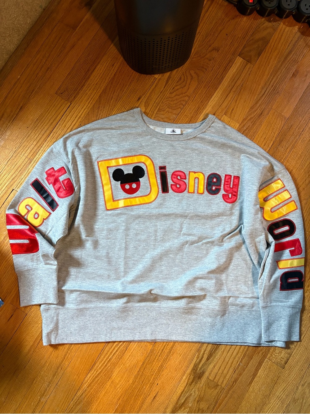 Disney Gray Sweatshirt with Multicolor Appliqué
